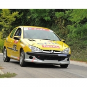 Kit carrosserie polyester Peugeot 206 origine